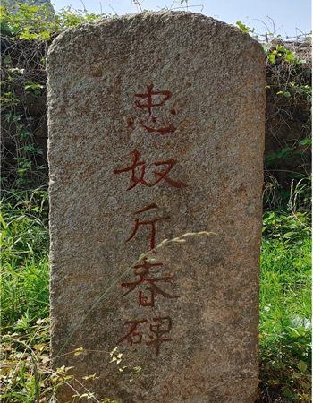 그림 9