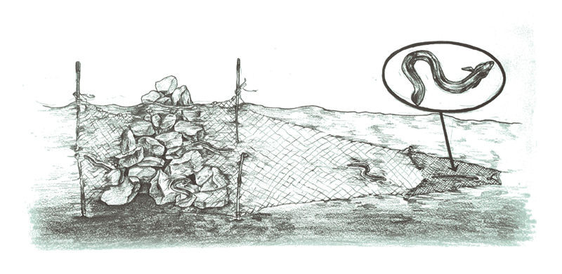 그림4