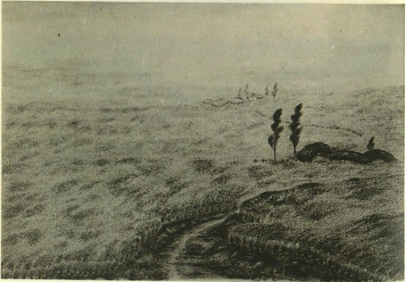 그림 3