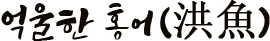 억울한 홍어洪魚