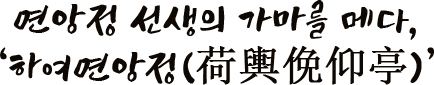 면앙정 선생의 가마를 메다, ‘하여면앙정(荷輿俛仰亭)’